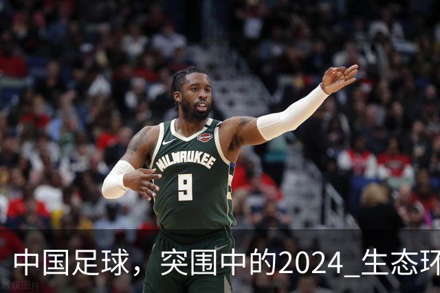 中国足球，突围中的2024 生态环境将实现好转